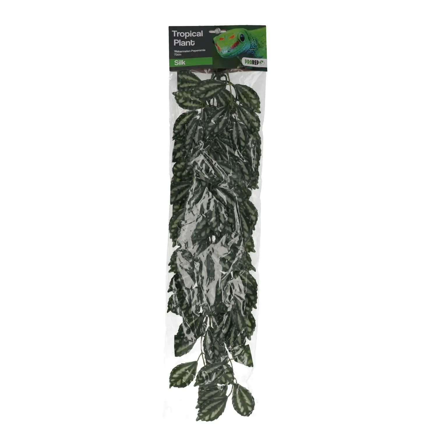 ProRep Watermelon Peperomia Silk Hanging Plant - Image 3