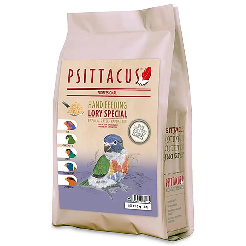Psittacus Lory Special Hand Feeding - Image 2