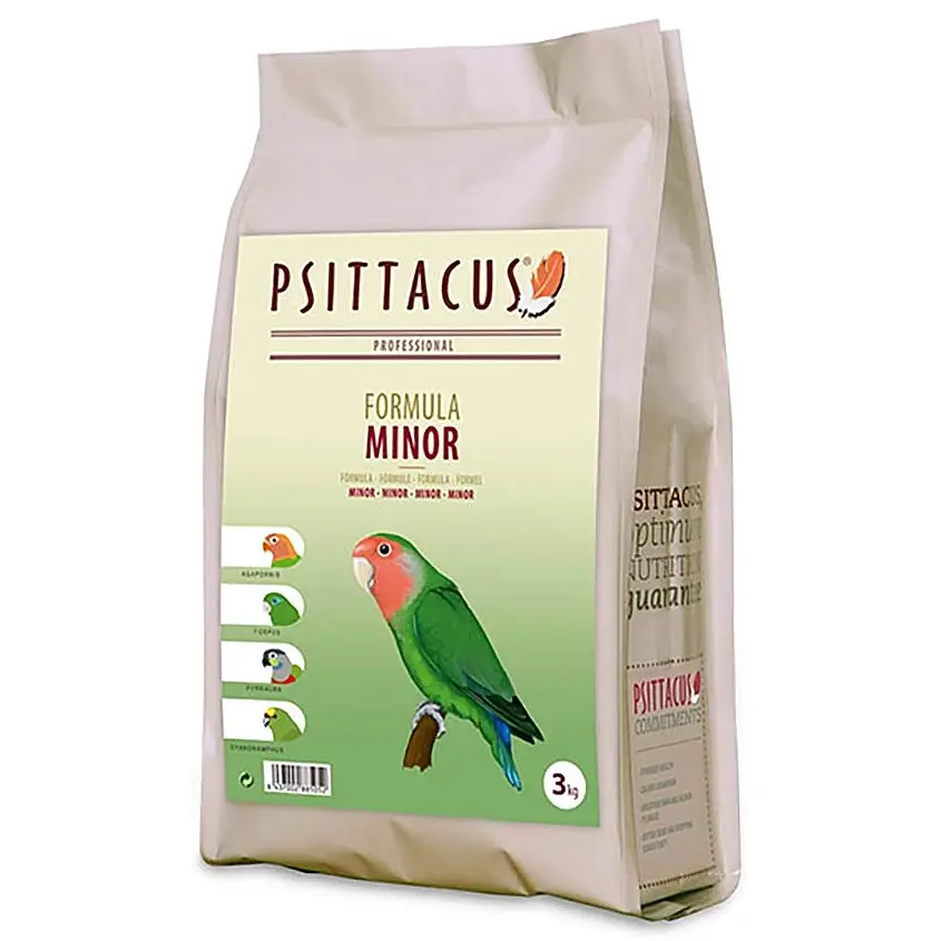 Psittacus Minor - Image 2