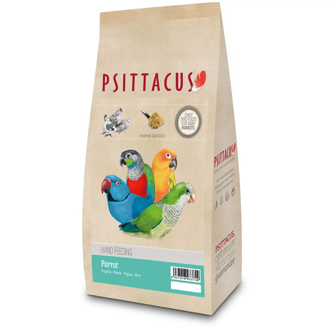Psittacus Parrot Hand Feeding - Image 2