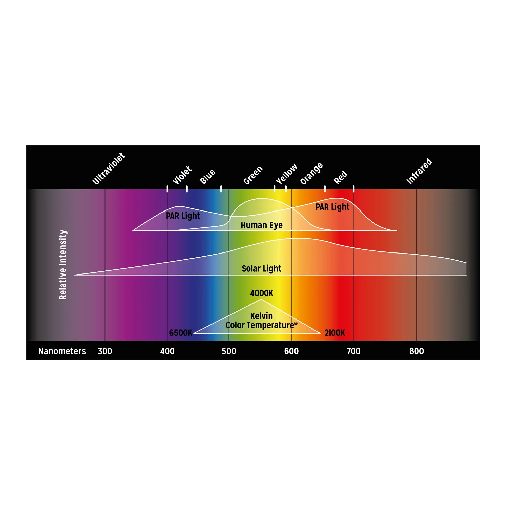 Reptile Systems New Dawn Proten LED - Image 6