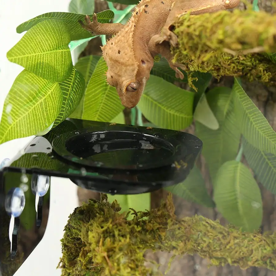 ReptiZoo Arboreal Feeder 8x8cm - Image 3