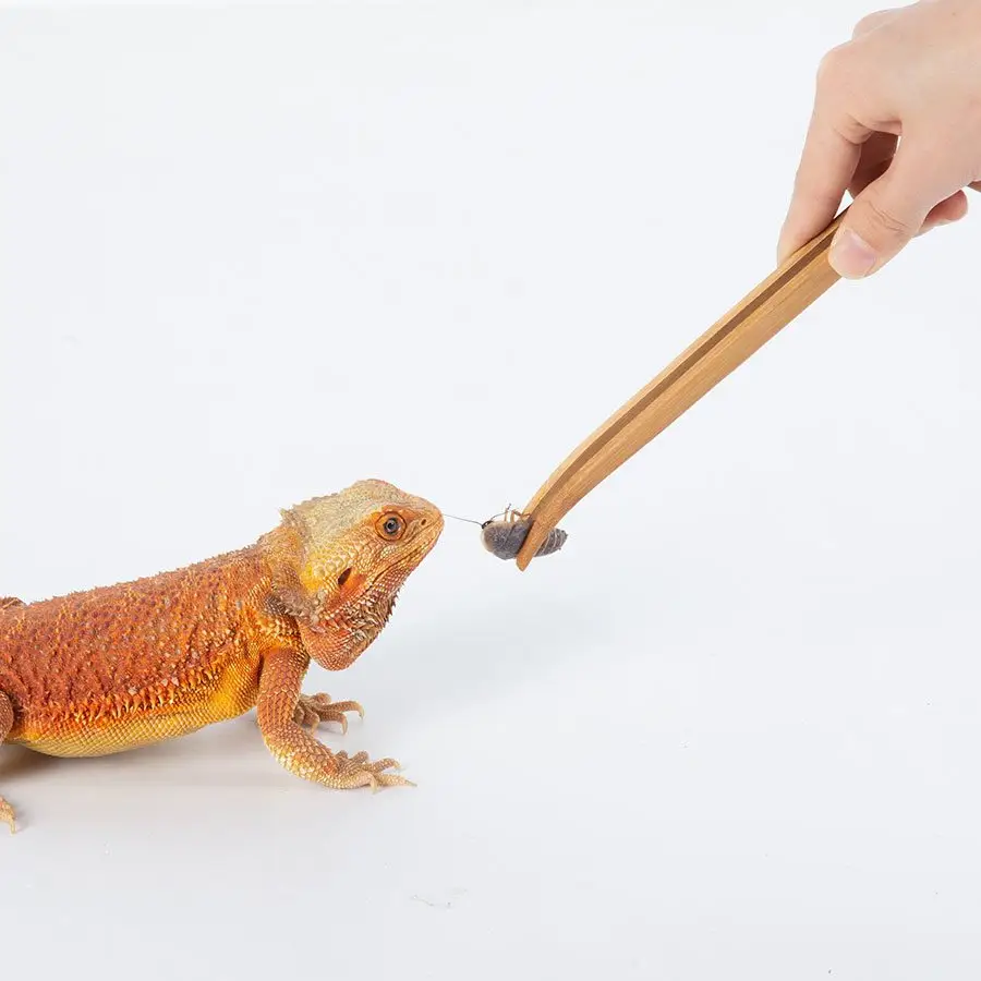 ReptiZoo Bamboo Tweezers 28cm - Image 4