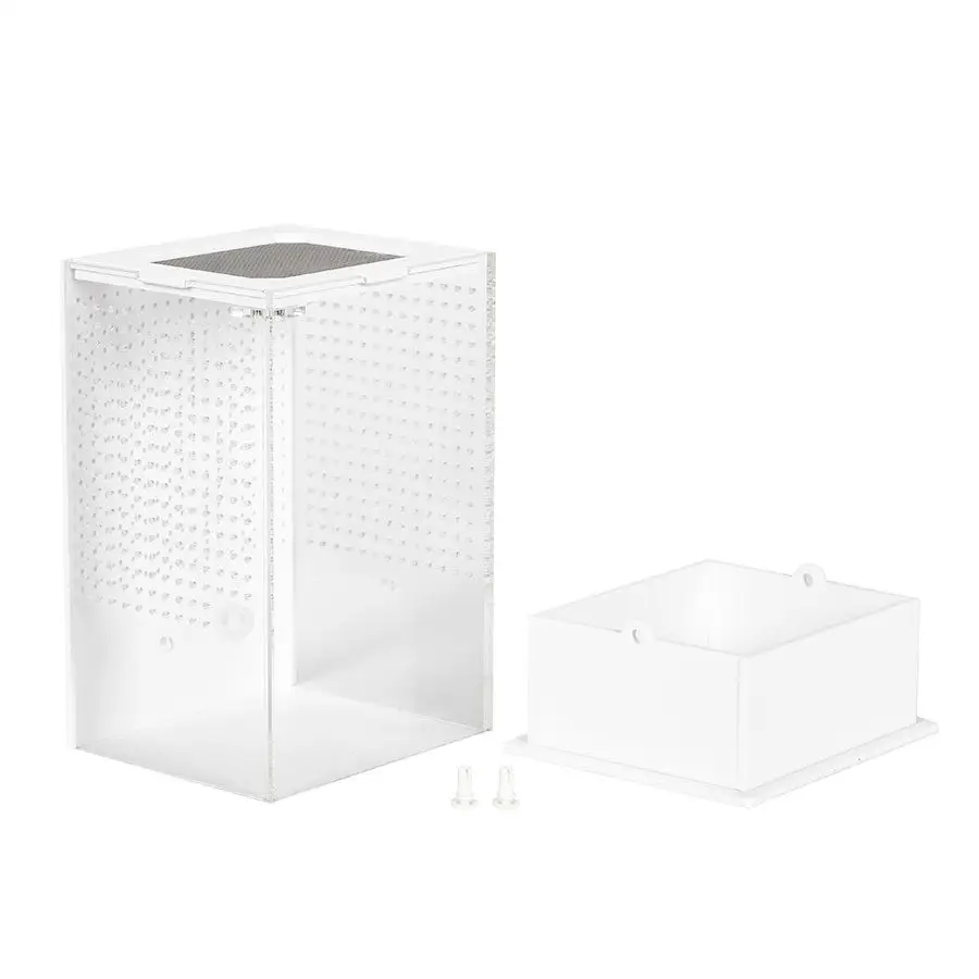 ReptiZoo Insect Acrylic Box White Base - Image 3