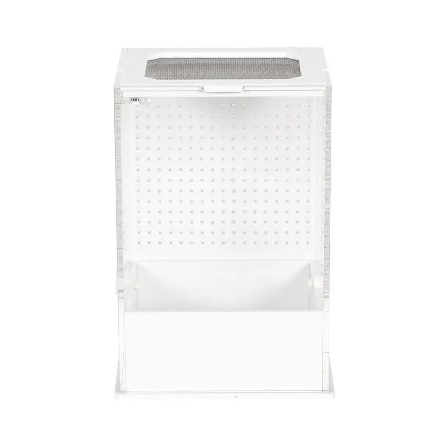 ReptiZoo Insect Acrylic Box White Base - Image 4
