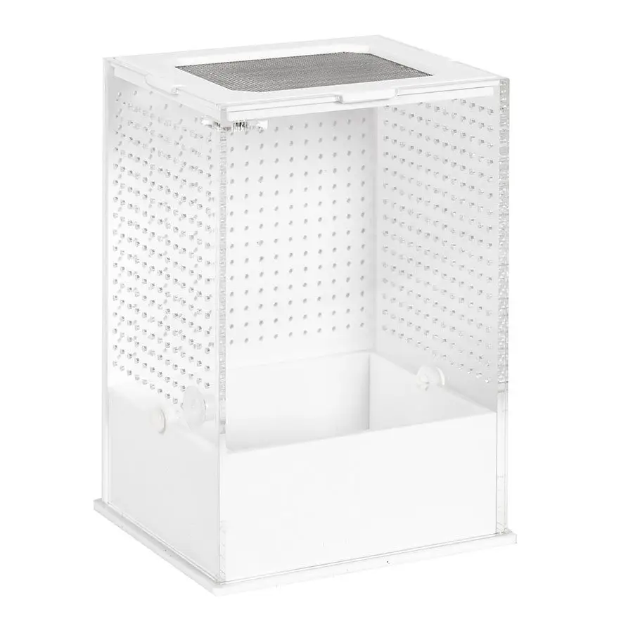 ReptiZoo Insect Acrylic Box White Base - Image 6