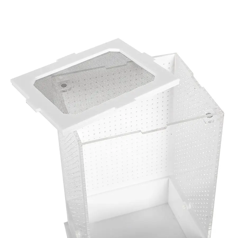 ReptiZoo Insect Acrylic Box White Base - Image 8