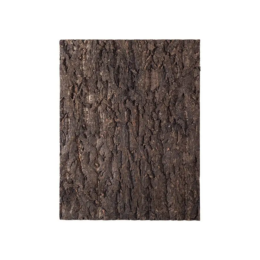 ReptiZoo Natural Cork Tile Background - Image 10