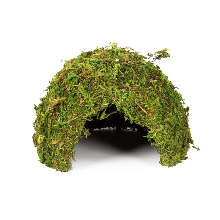 ReptiZoo Natural Moss Dome - Image 2