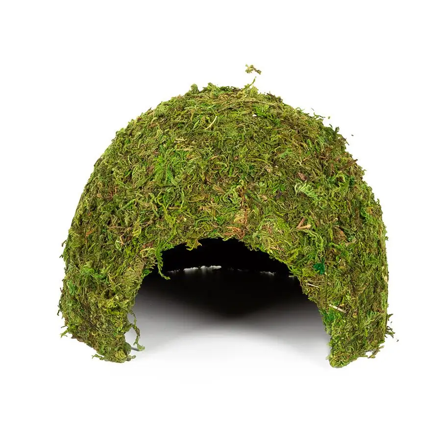 ReptiZoo Natural Moss Dome - Image 3