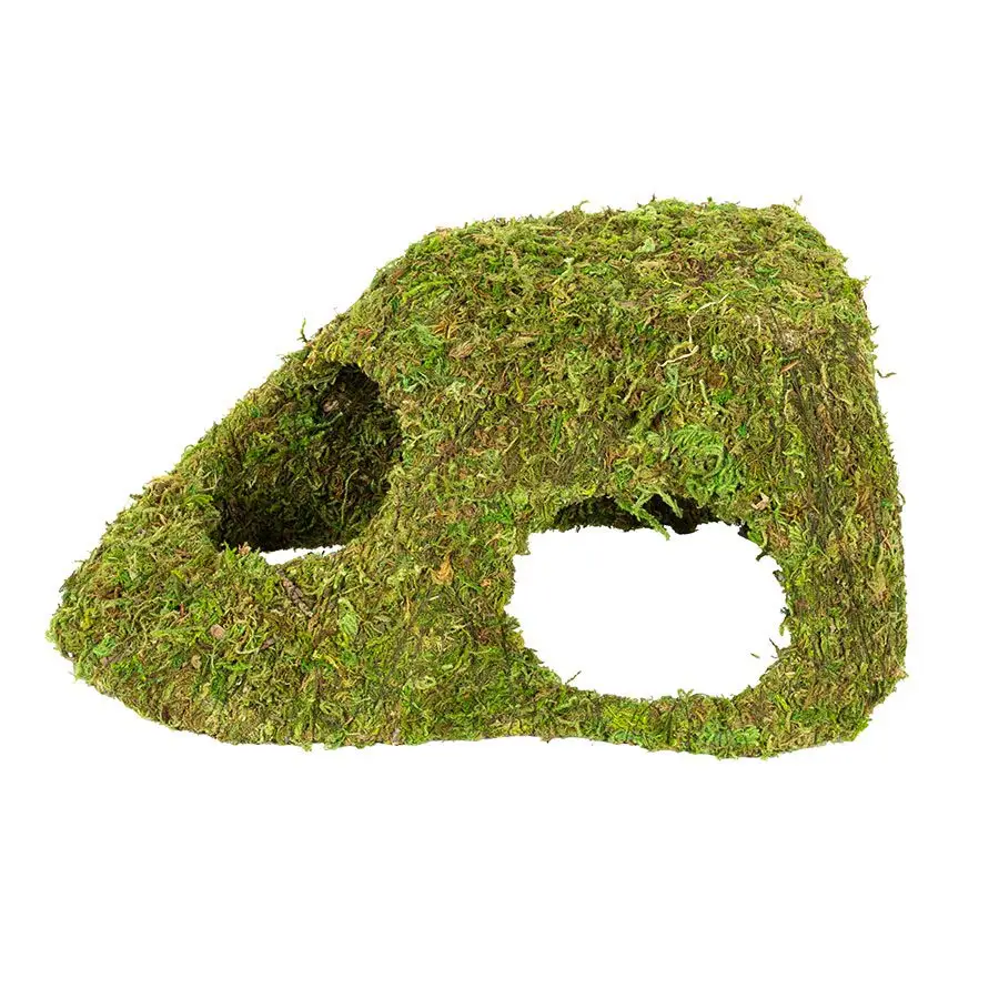 ReptiZoo Natural Moss Dome - Image 4