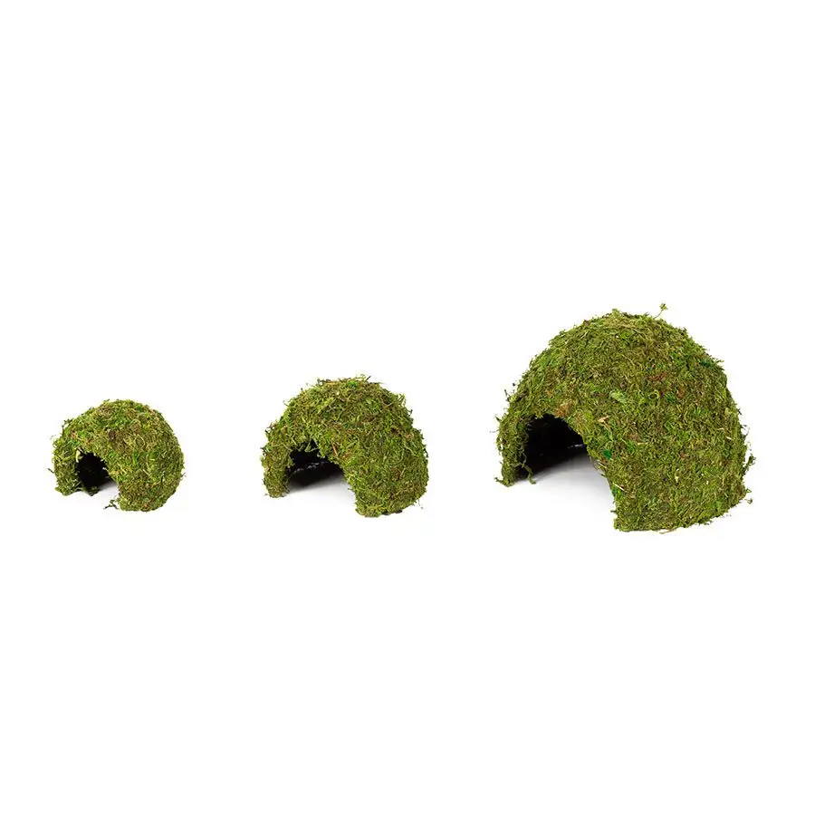 ReptiZoo Natural Moss Dome - Image 5