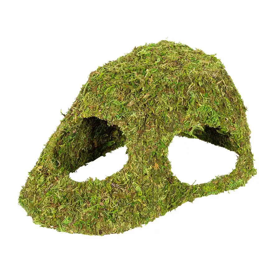 ReptiZoo Natural Moss Dome - Image 6