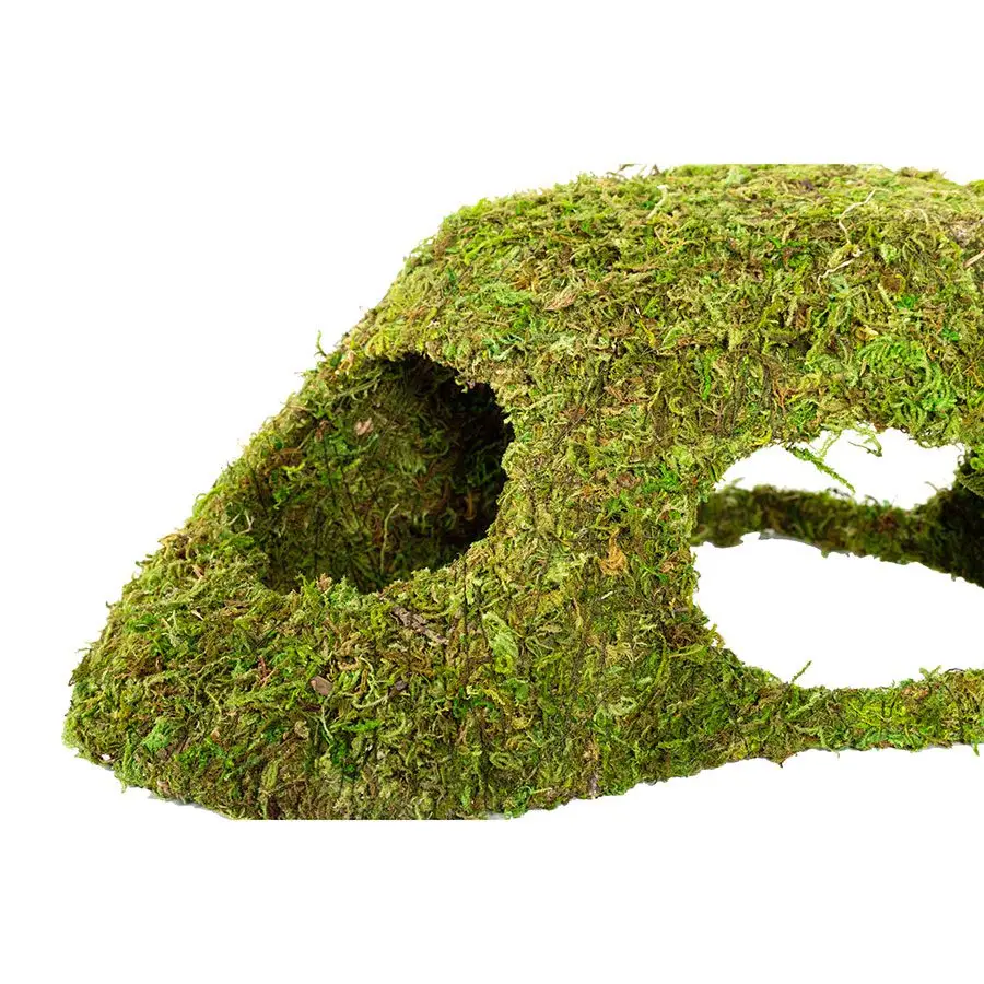 ReptiZoo Natural Moss Dome - Image 7