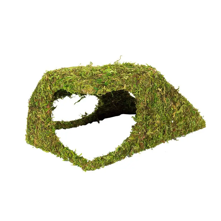 ReptiZoo Natural Moss Dome - Image 8