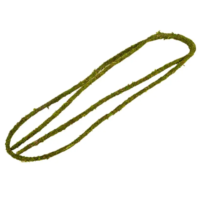 ReptiZoo Natural Moss Vine