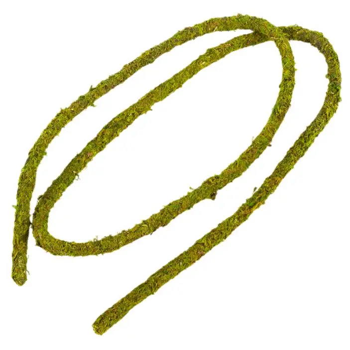 ReptiZoo Natural Moss Vine - Image 3