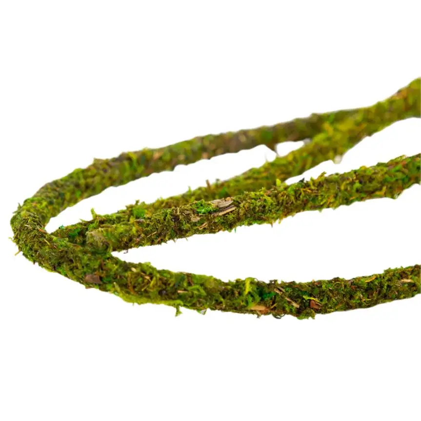 ReptiZoo Natural Moss Vine - Image 4