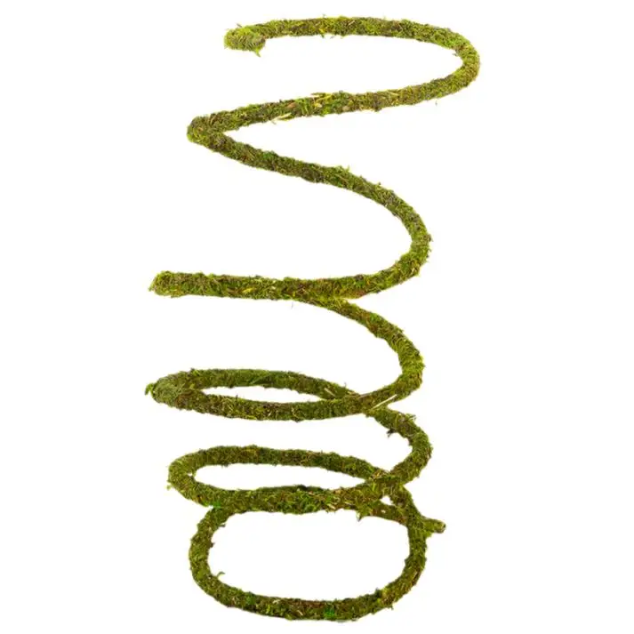 ReptiZoo Natural Moss Vine - Image 5