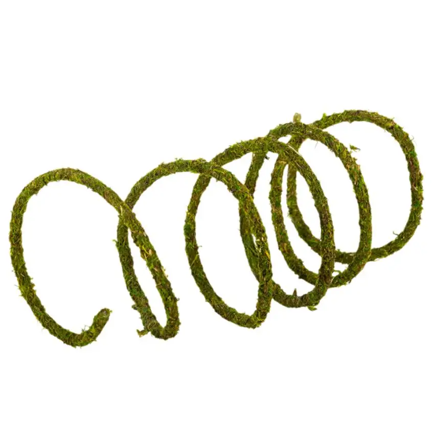 ReptiZoo Natural Moss Vine - Image 6