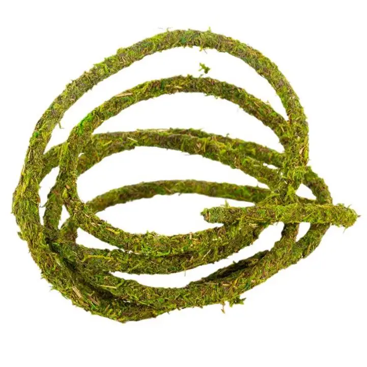 ReptiZoo Natural Moss Vine - Image 7