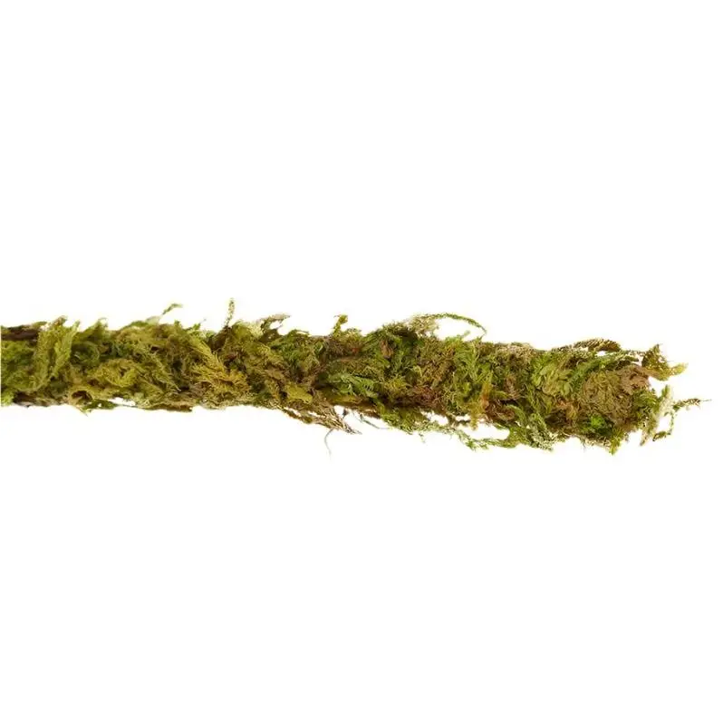 ReptiZoo Natural Moss Vine - Image 8