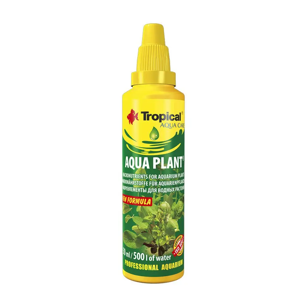 Tropical Aqua Plant Water Treatment