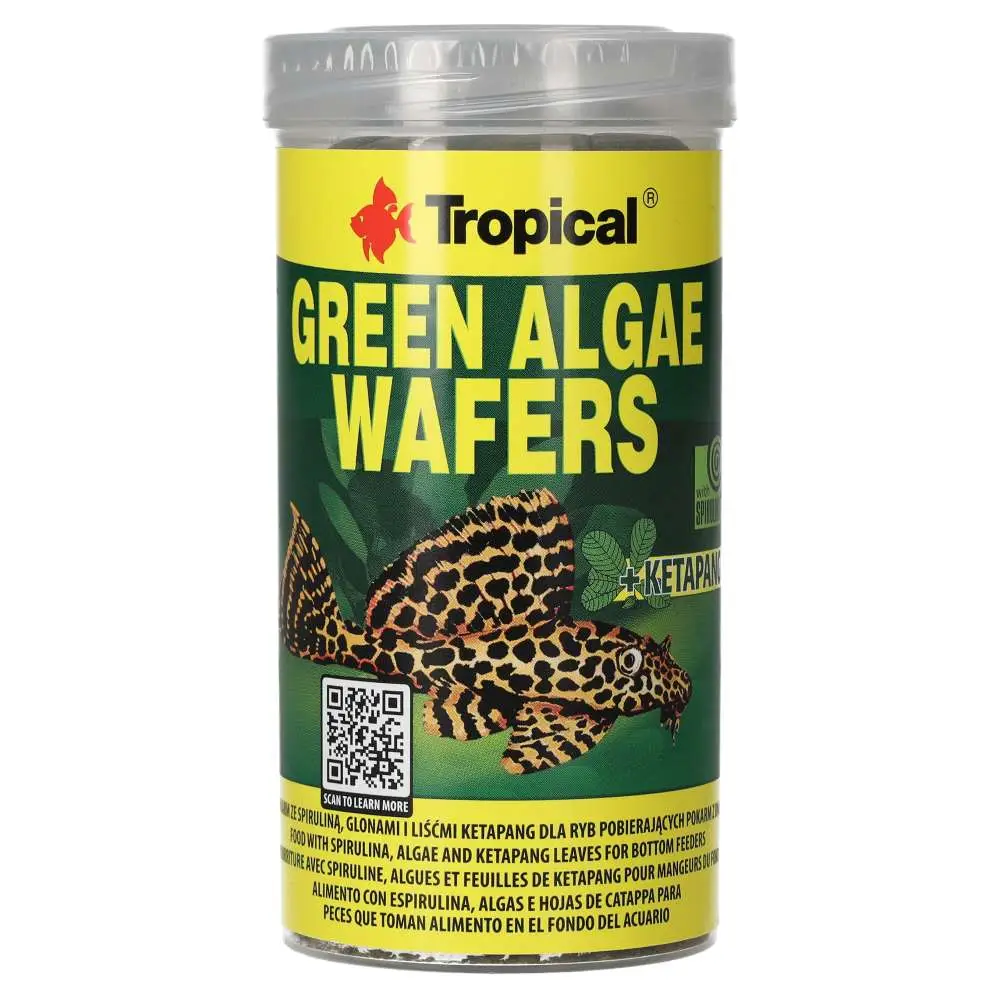 Tropical Green Algae Wafers - Image 2