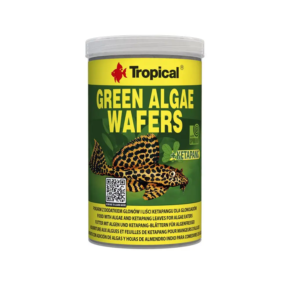 Tropical Green Algae Wafers - Image 3