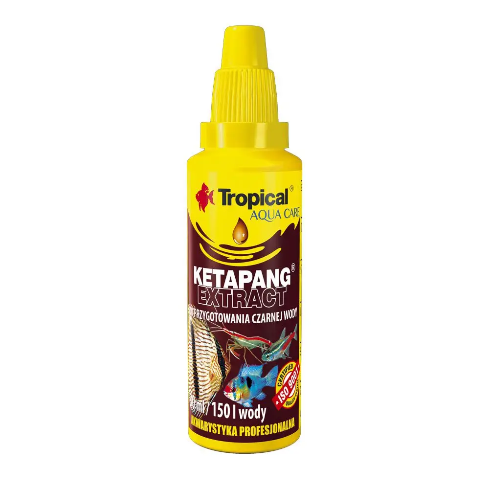 Tropical Ketapang Extract