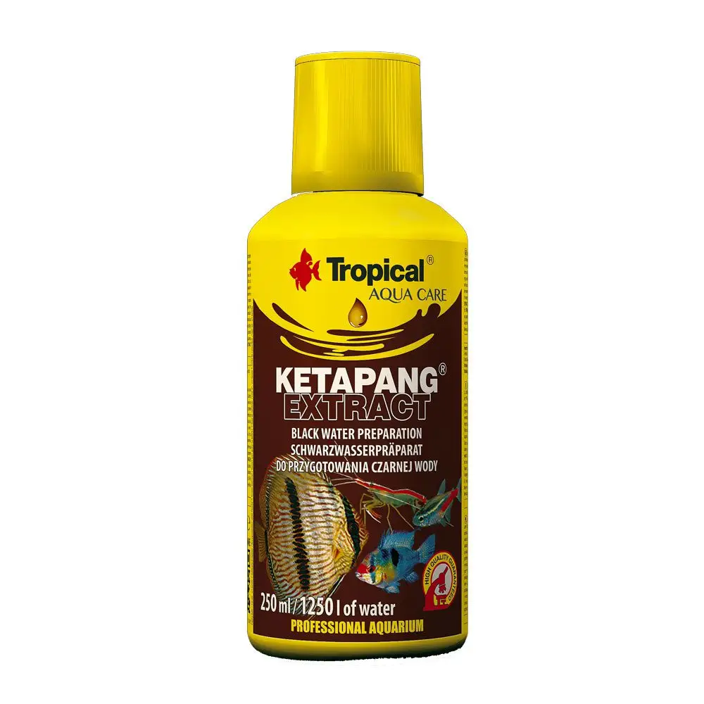 Tropical Ketapang Extract - Image 2