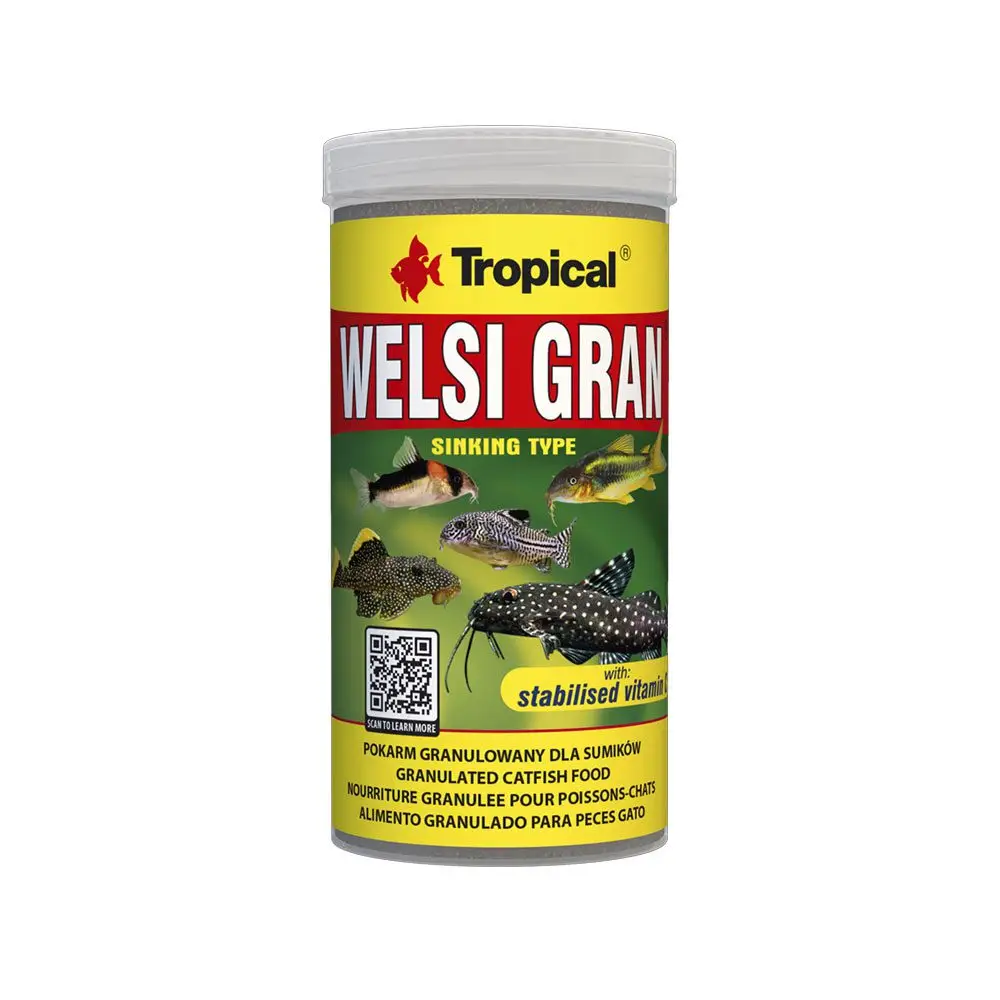 Tropical Welsi Gran Food - Image 2
